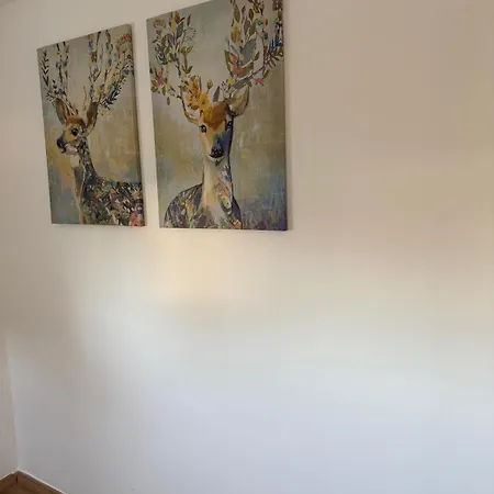 Staykassel Appartement Kassel